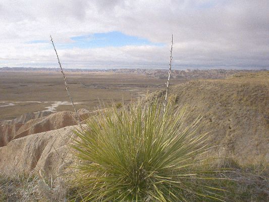 Badlands National Park
