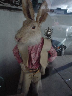 Wall Drug Store
CowBoy Rabbit
