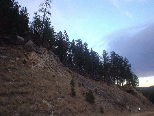 The Black hills
