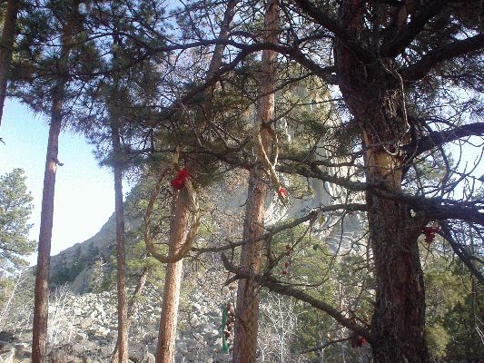 Devils Tower WY, First National Monument of the USA
Indian beads
