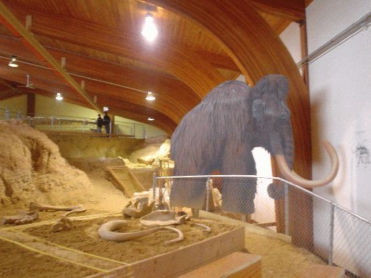 Mammoth Site in Hot Springs SD
Hairy Mammoth

