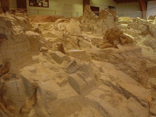 Mammoth Site in Hot Springs SD
Remainings of 53 Mammoths in Sinkhole from the Ice Age

