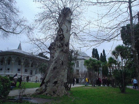 Istanbul Dec 31, 2004
Topkapi Palace
