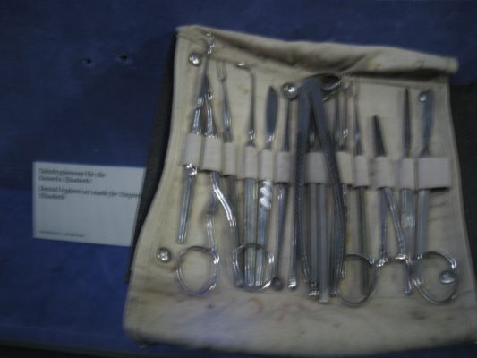 Vienna
Sisi's toothbrush and extraction gear 
