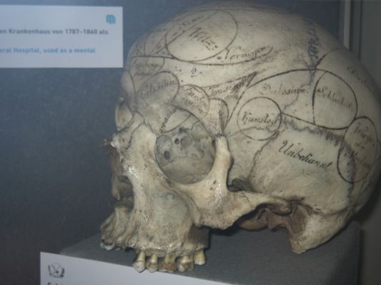 Vienna
Anatomy museum

