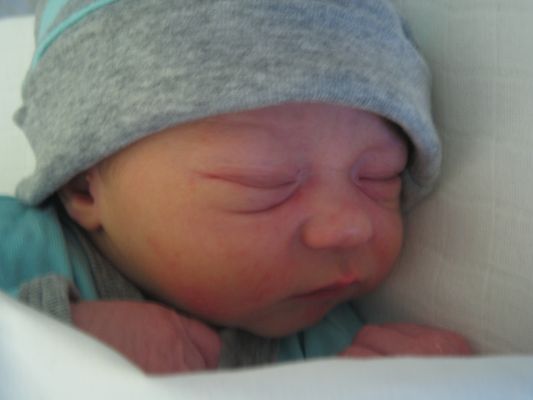 Kjelt just a few hours old
