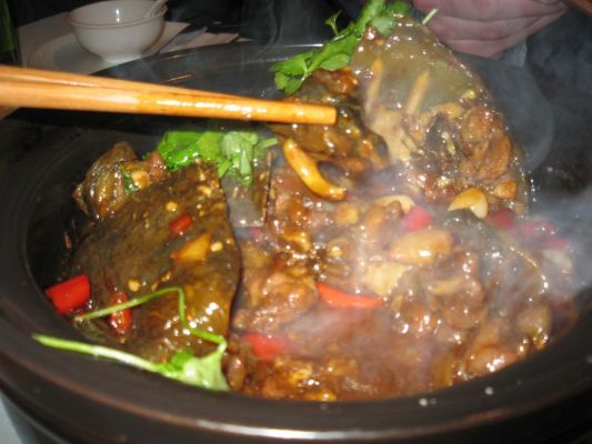 Diner with Martin in Shanghai
Shanghai Turtle surprise: the unidentified tentacle
