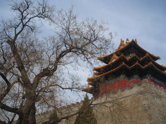 Forbidden City

