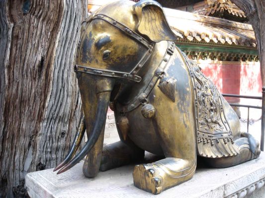 Forbidden City
