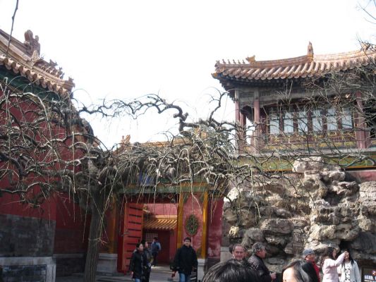 Forbidden City
