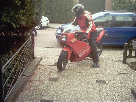 Duc
