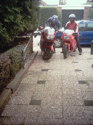 Duc
