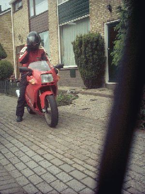 Duc
