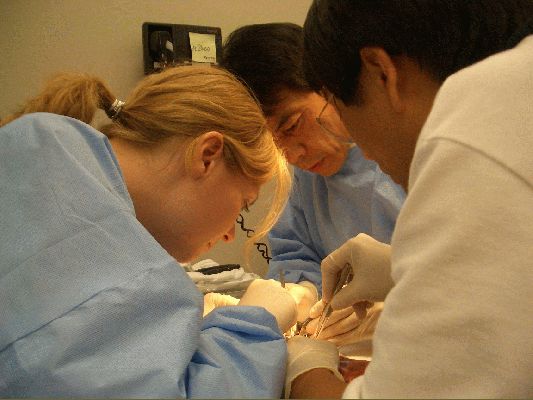 Me, Dr Zhao and Dr Tanaka
