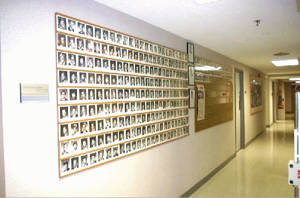 Wall of Fame
