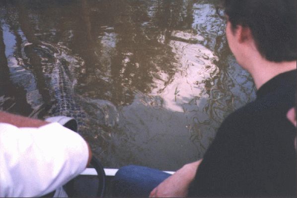 Billy Swamp airboat tour

