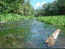 Filename=181DSC00768.JPG
Filesize=647KiB
Dimensions=1632x1224
Date added=Aug 16, 2004 181DSC00768.JPG