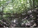 Filename=181DSC00774.JPG
Filesize=479KiB
Dimensions=1632x1224
Date added=Aug 16, 2004 181DSC00774.JPG