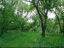 Filename=182DSC00446.JPG
Filesize=562KiB
Dimensions=1632x1224
Date added=Jun 01, 2004 182DSC00446.JPG