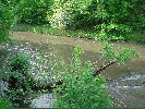 Filename=182DSC00448.JPG
Filesize=612KiB
Dimensions=1632x1224
Date added=Jun 01, 2004 182DSC00448.JPG