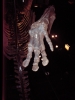34DSC02479.JPG