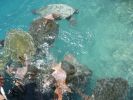 Curacao_Anke_149.jpg