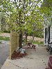 DSC00401.jpg