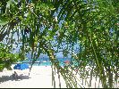 Filename=DSC00613.JPG
Filesize=448KiB
Dimensions=1632x1224
Date added=Jul 08, 2004 DSC00613.JPG
