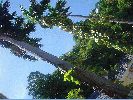 Filename=DSC00614.JPG
Filesize=535KiB
Dimensions=1632x1224
Date added=Jul 08, 2004 DSC00614.JPG