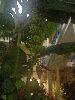 Filename=DSC00615.JPG
Filesize=261KiB
Dimensions=1224x1632
Date added=Jul 08, 2004 DSC00615.JPG