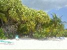 Filename=DSC00625.JPG
Filesize=481KiB
Dimensions=1632x1224
Date added=Jul 08, 2004 DSC00625.JPG