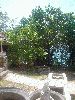 DSC00658.2.JPG