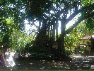 DSC00666.JPG