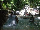 DSC00682.JPG