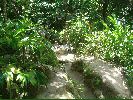 DSC00685.JPG