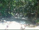 DSC00686.JPG