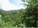 DSC00703.JPG