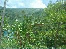 Filename=DSC00704.JPG
Filesize=528KiB
Dimensions=1632x1224
Date added=Jul 08, 2004 DSC00704.JPG