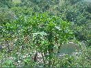 DSC00708.JPG