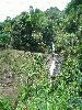 DSC00709.2.JPG