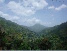 DSC00711.JPG