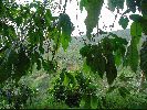 DSC00713.JPG
