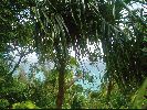 Filename=DSC00875.JPG
Filesize=435KiB
Dimensions=1632x1224
Date added=Sep 07, 2004 DSC00875.JPG