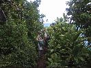 Filename=DSC00876a.JPG
Filesize=729KiB
Dimensions=1600x1200
Date added=Sep 13, 2004 DSC00876a.JPG