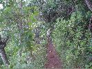 Filename=DSC00880.JPG
Filesize=526KiB
Dimensions=1632x1224
Date added=Sep 11, 2004 DSC00880.JPG