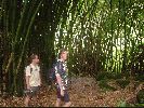 DSC00894.JPG