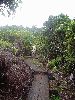 Filename=DSC00934.JPG
Filesize=488KiB
Dimensions=1224x1632
Date added=Sep 11, 2004 DSC00934.JPG
