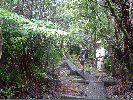 Filename=DSC00938.JPG
Filesize=538KiB
Dimensions=1632x1224
Date added=Sep 09, 2004 DSC00938.JPG