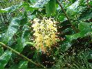 Filename=DSC00940.JPG
Filesize=503KiB
Dimensions=1632x1224
Date added=Sep 07, 2004 DSC00940.JPG