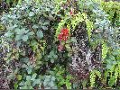 DSC00943.JPG